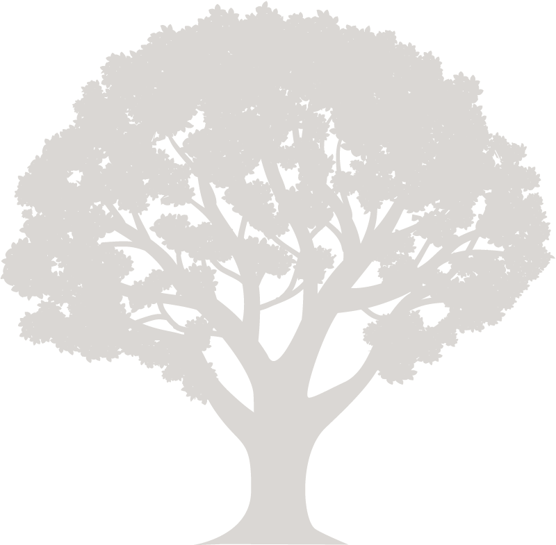 s-baum